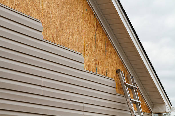 Affordable siding repair and maintenance services in Zimmerman, MN